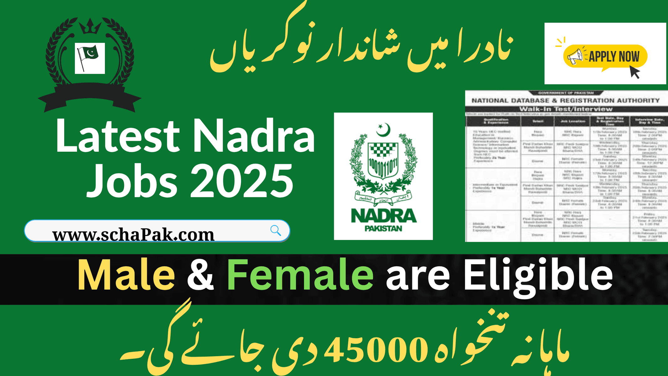 Applicants standing in line for NADRA Data Entry Jobs July 2025 walk-in interviews