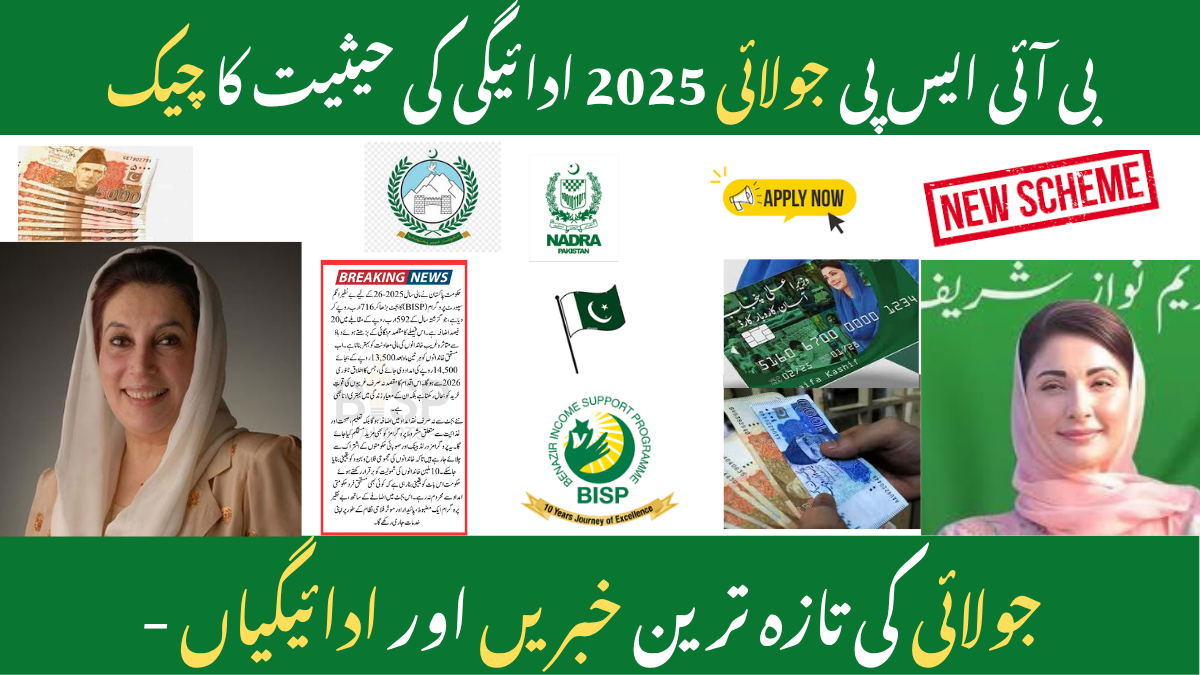 BISP July 2025 Payment Status Check Guide for Pakistani Citizens
