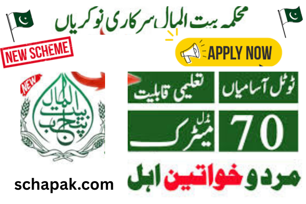 Social Welfare & Bait-ul-Maal Department vacancies in July 2025, with post names, eligibility, and apply instructions